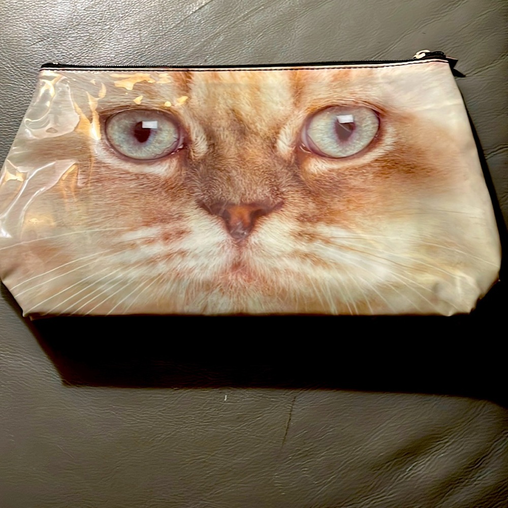 Kitty purse.